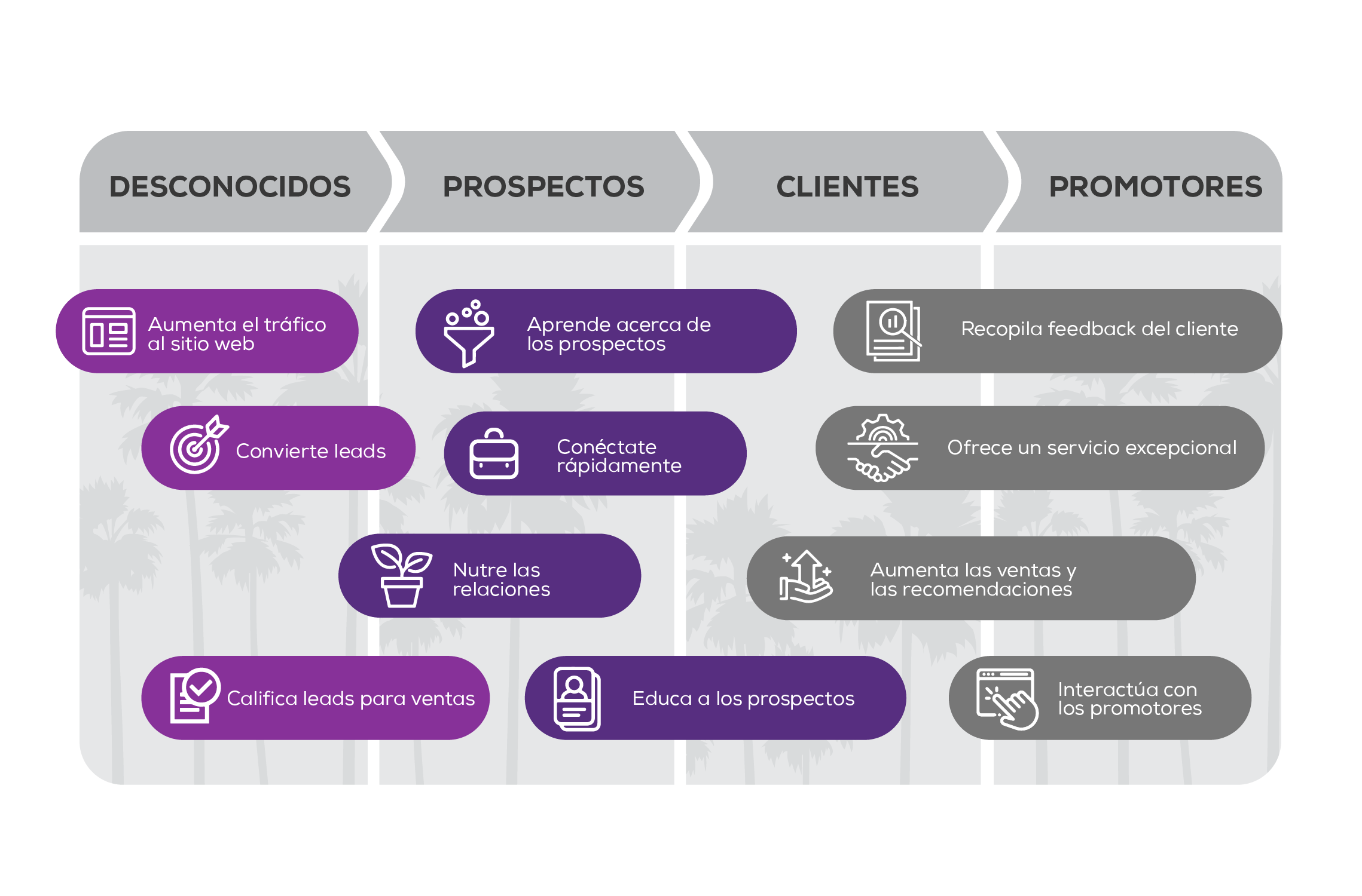 Recorrido del comprador o buyer journey Xarxa Agency