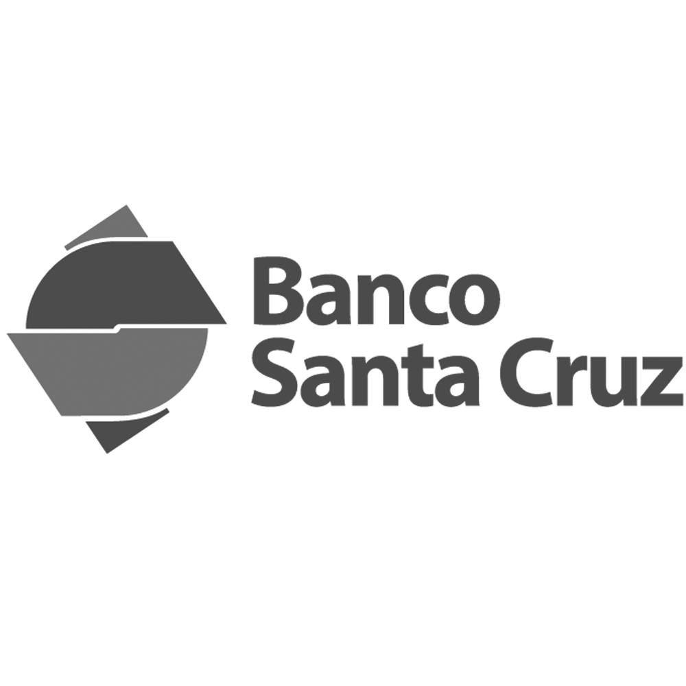 Logo Banco Santa Cruz Gris