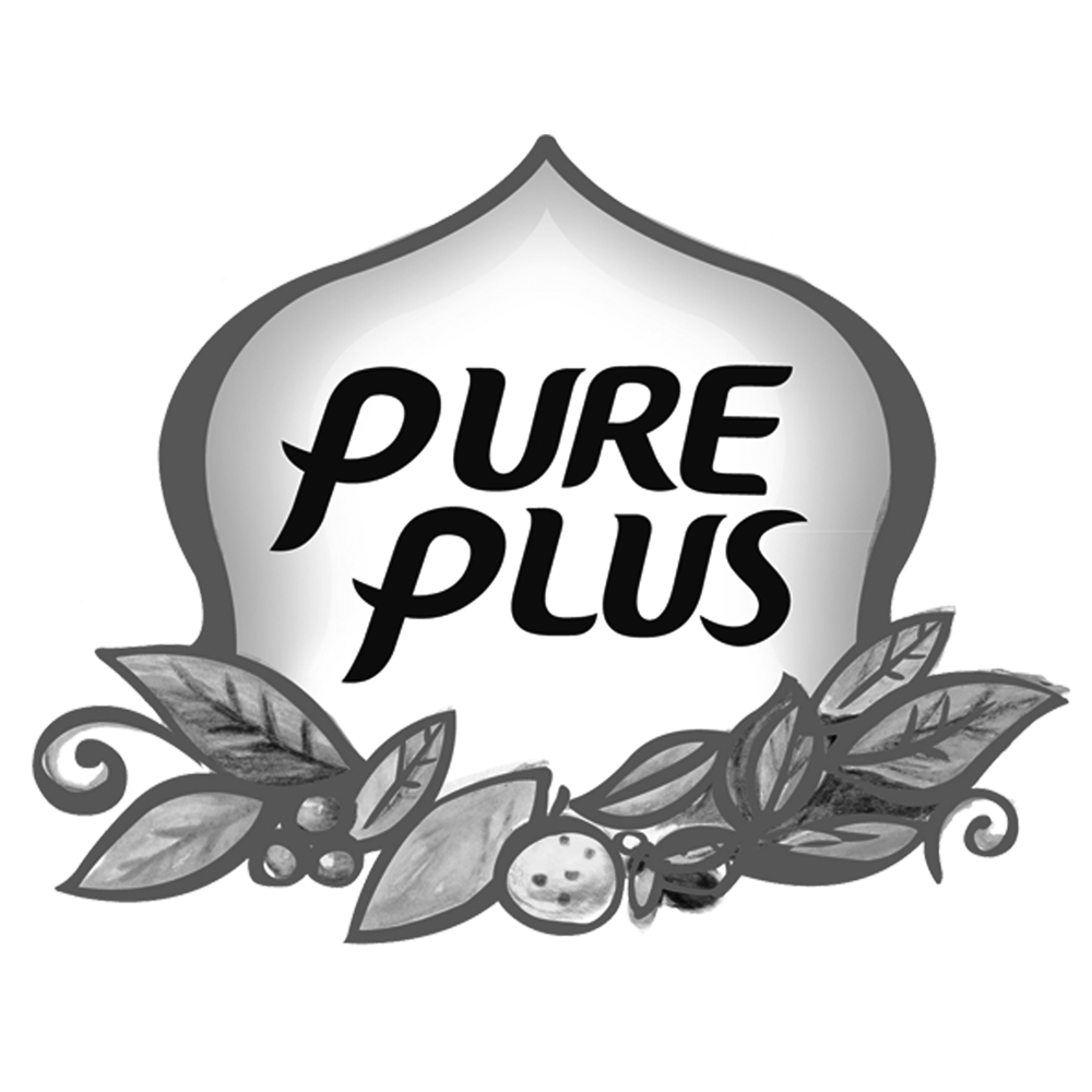 logo PURE PLUS grises