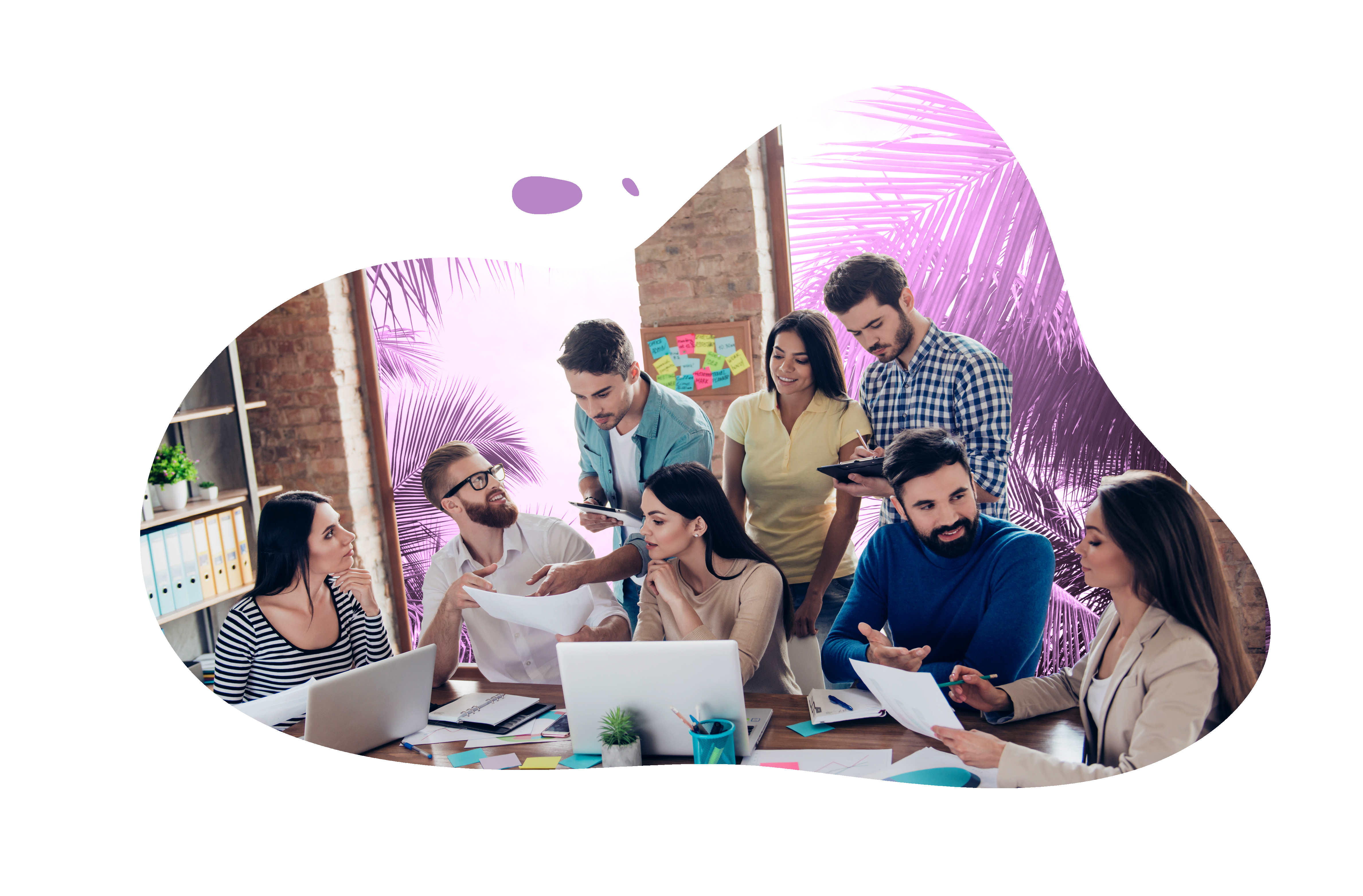 xarxa_home_page_activacion_de_marca