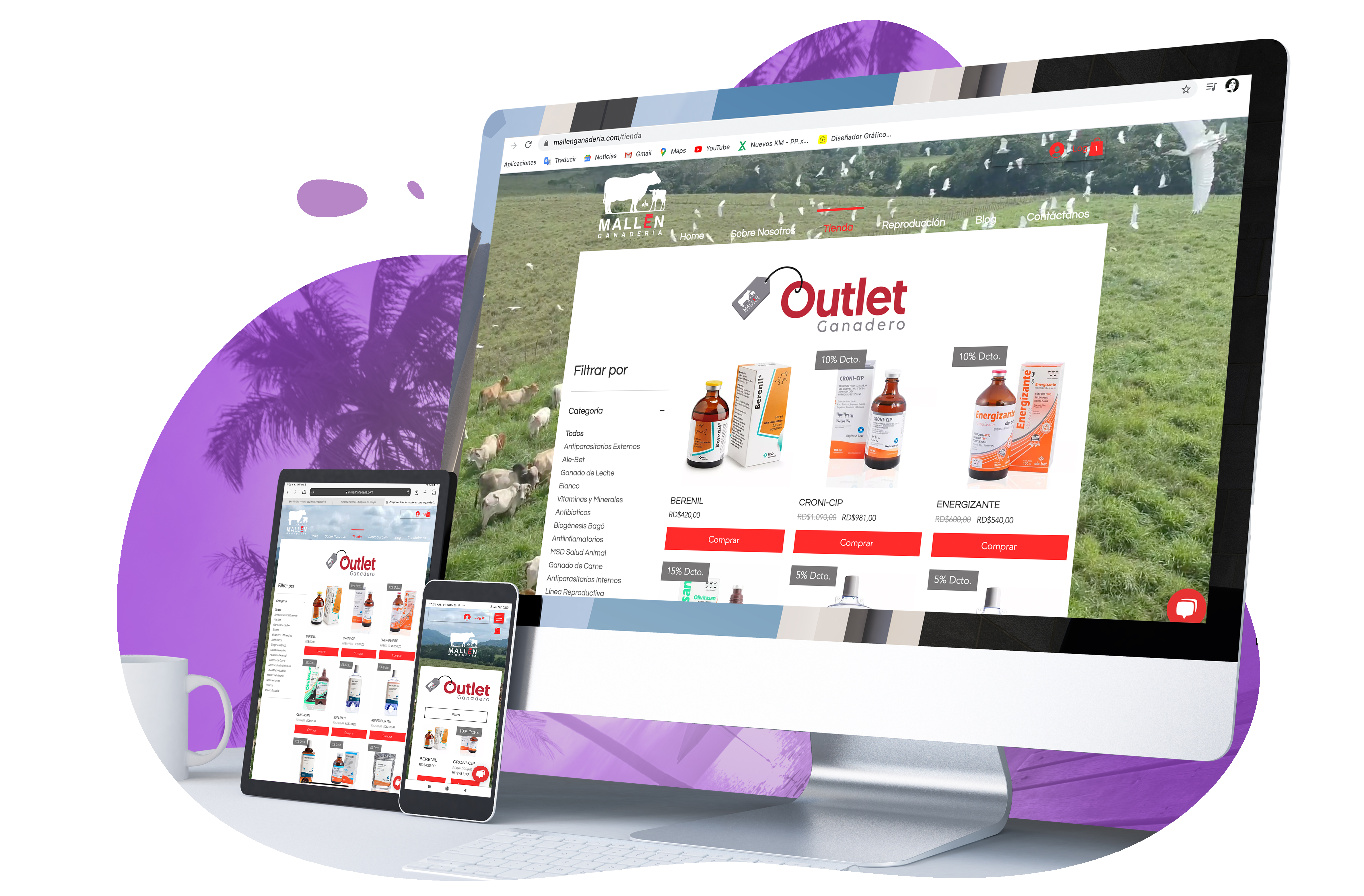 xarxa_home_page_diseño_web